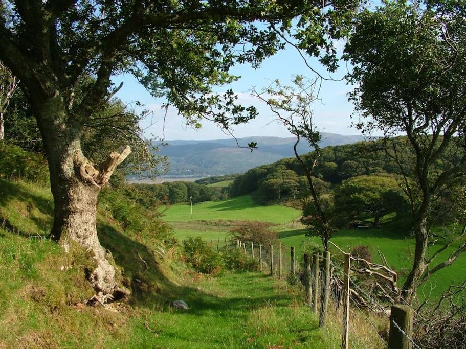 Stunning Views Of Ynyshir & Southern Snowdonia ماتشينليث المظهر الخارجي الصورة