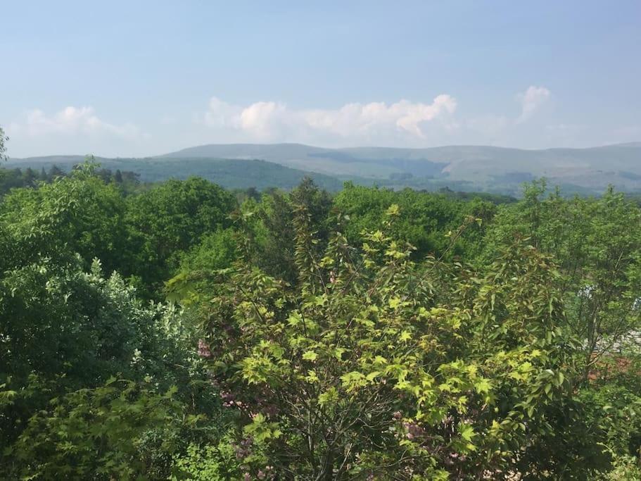 Stunning Views Of Ynyshir & Southern Snowdonia ماتشينليث المظهر الخارجي الصورة