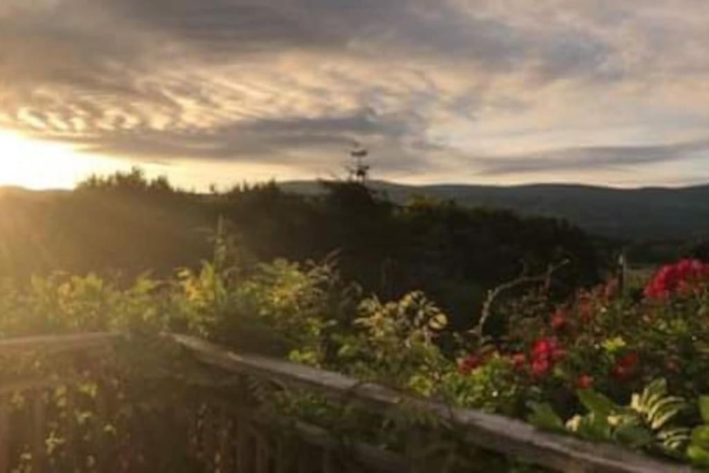 Stunning Views Of Ynyshir & Southern Snowdonia ماتشينليث المظهر الخارجي الصورة