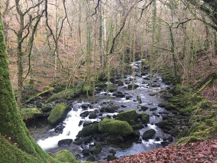 Stunning Views Of Ynyshir & Southern Snowdonia ماتشينليث المظهر الخارجي الصورة
